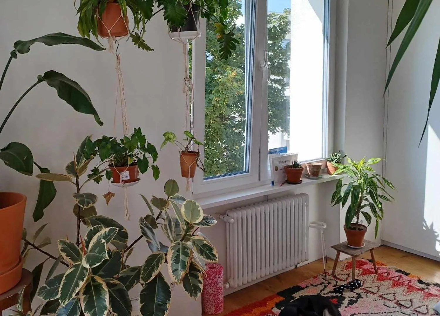 Wygodne Mieszkanie Na Mokotowie Blisko Metra - Comfortable Apartment Close To The Subway Warsaw Homestay